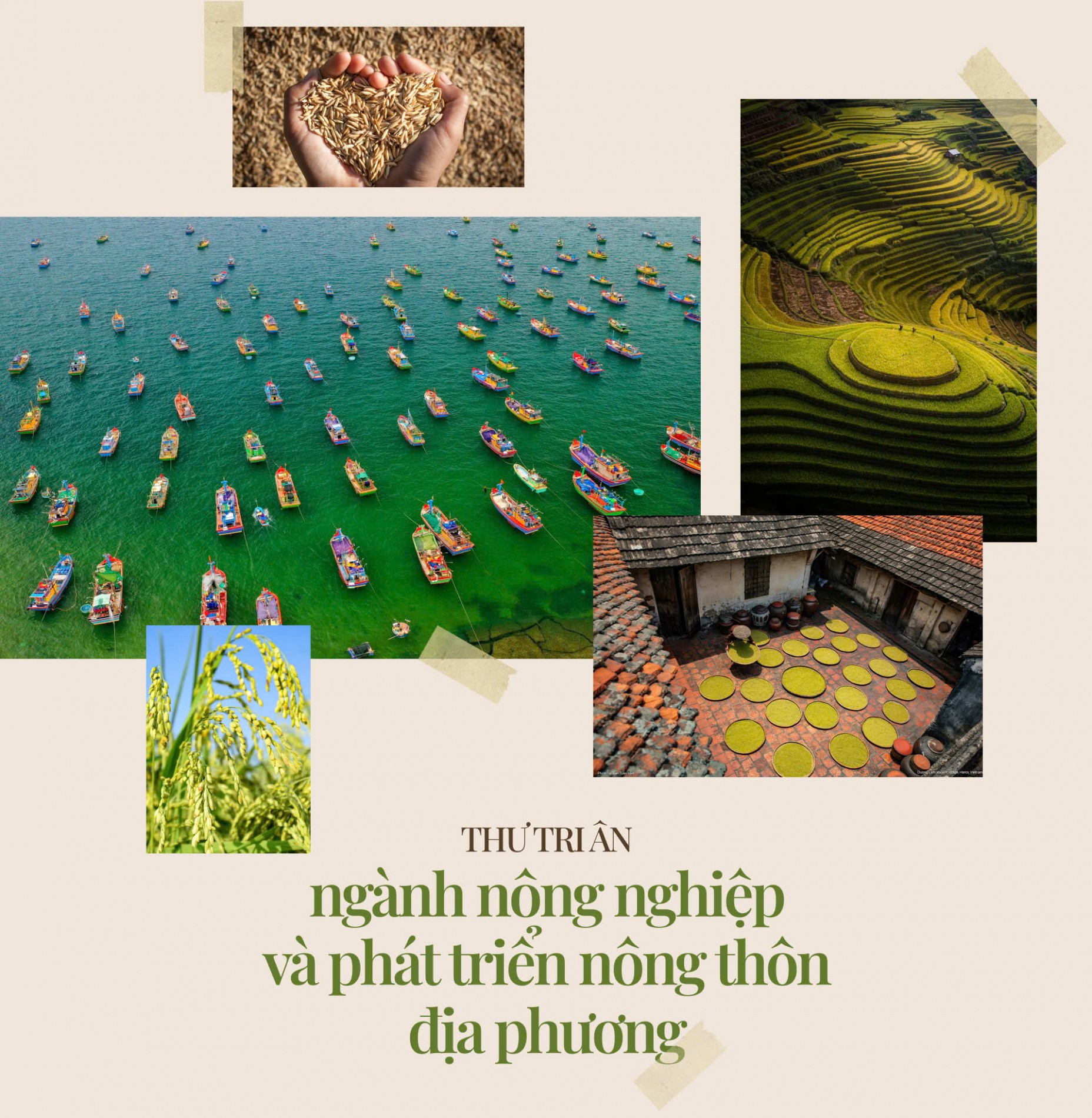 thu-tri-an-va-chia-tay-nganh-nong-nghiep-va-phat-trien-nong-thon-dia-phuong-image_pc-074511