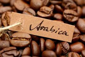 arabica