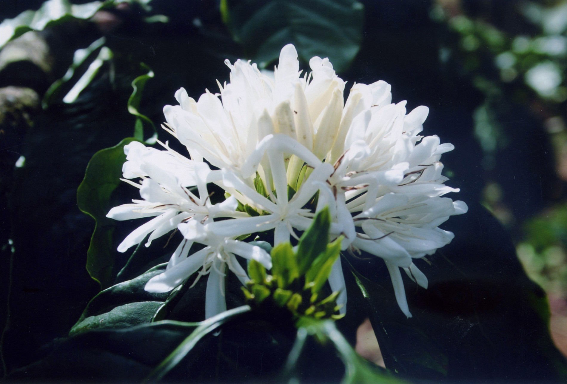 z5726820357651_b40eab8f5681628325f60f85b4796054