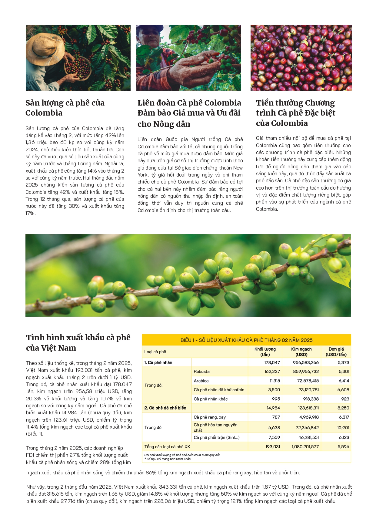 vicofa_newsletter_02.2025_page-0003