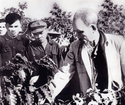 Lược sử ngành cà phê