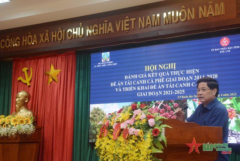 24/6/2022: Cần có cơ chế tín dụng đặc thù cho tái canh cà phê