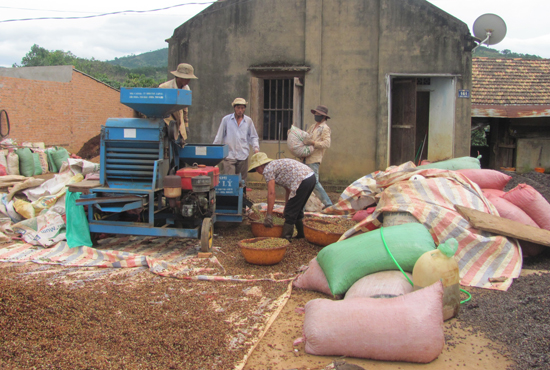 Conab dự kiến sản lượng cà phê Brazil sẽ sút giảm