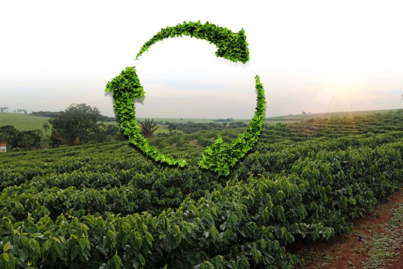 06/9/2022: Mời doanh nghiệp tham gia Chương trình cấp quốc gia về xúc tiến thương mại năm 2022