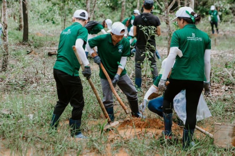 Nestlé cam kết và hành động mạnh mẽ ngăn ngừa các nguy cơ phá rừng
