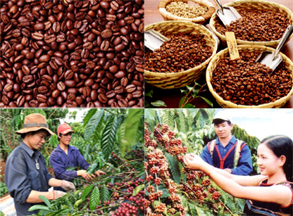 Tình hình bất ổn trên thị trường cà phê
