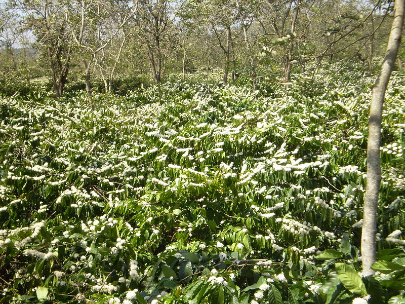 Thời tiết rét nhất trong vòng 40 năm qua