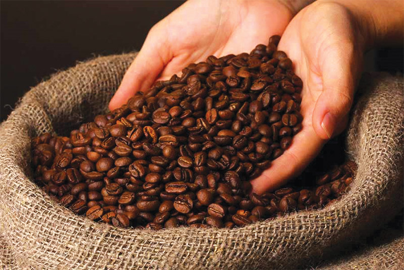 Thị trường cà phê qua bước ngoặt mới?