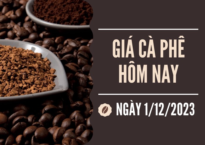 Giá cà phê hôm nay 1/12: Tăng mạnh, đạt mức cao nhất kể từ đầu tuần