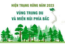 Công bố hiện trạng rừng 2023: Tỷ lệ che phủ toàn quốc đạt 42,02%