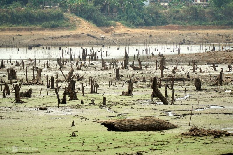 Tây Nguyên 'gồng mình' chống hạn