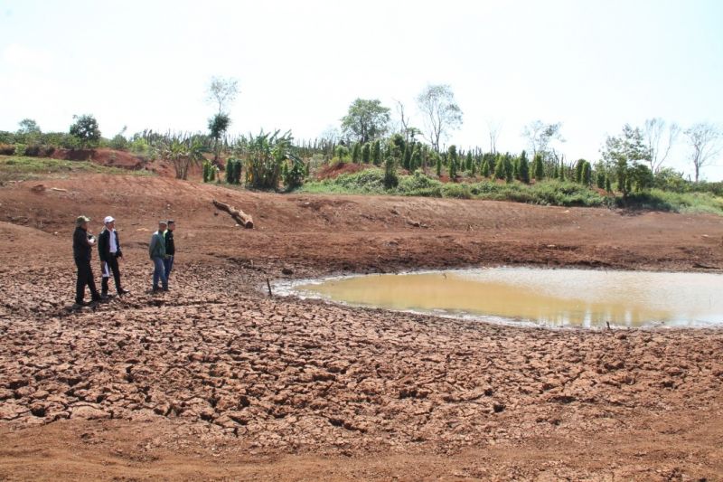 Nông dân Đắk Lắk oằn mình chống chọi với thời tiết nắng nóng khô hạn