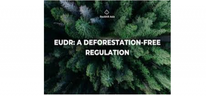 Tờ thông tin: EUDR và các hộ tiểu điền