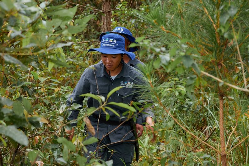 Ngành lâm nghiệp hoàn thiện cơ sở pháp lý, sớm thích ứng với EUDR