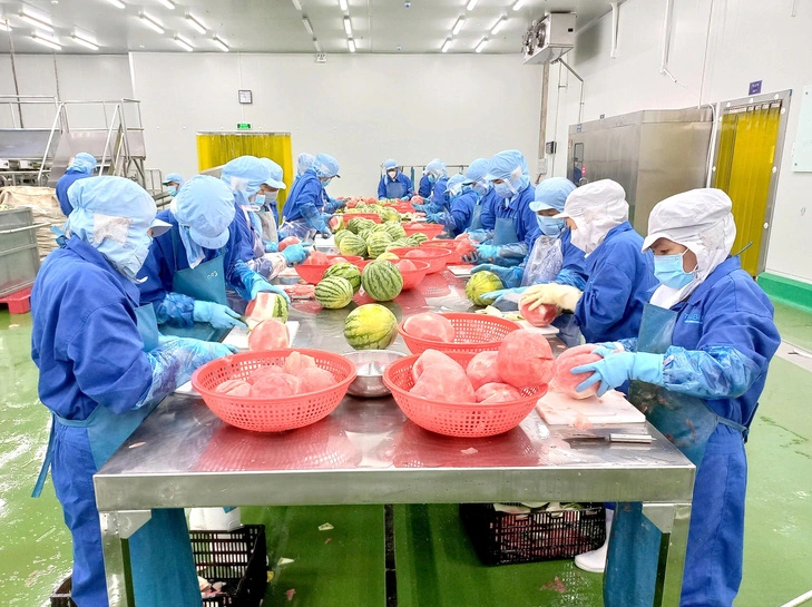 Nông sản xuất khẩu lại bùng nổ, nhiều mặt hàng giá tăng hơn mong đợi