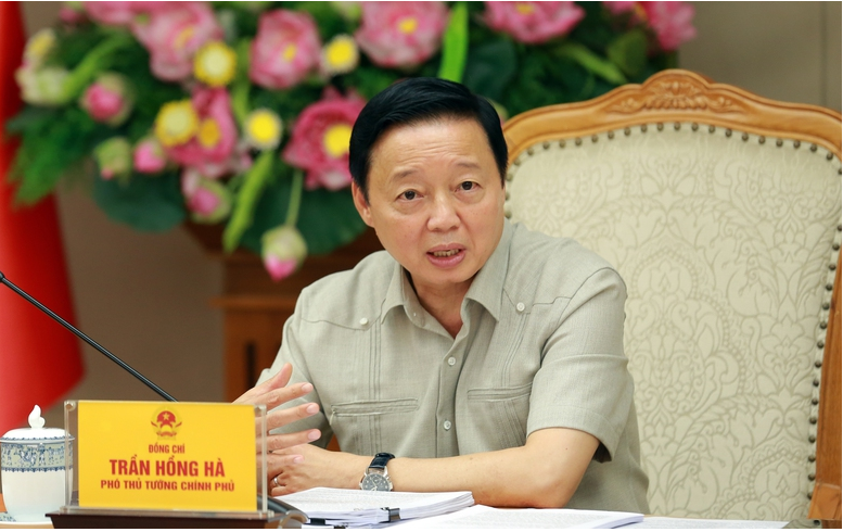 Tạo dòng tài chính mới từ thị trường carbon