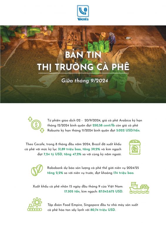 Bản tin thị trường cà phê giữa tháng 9-2024
