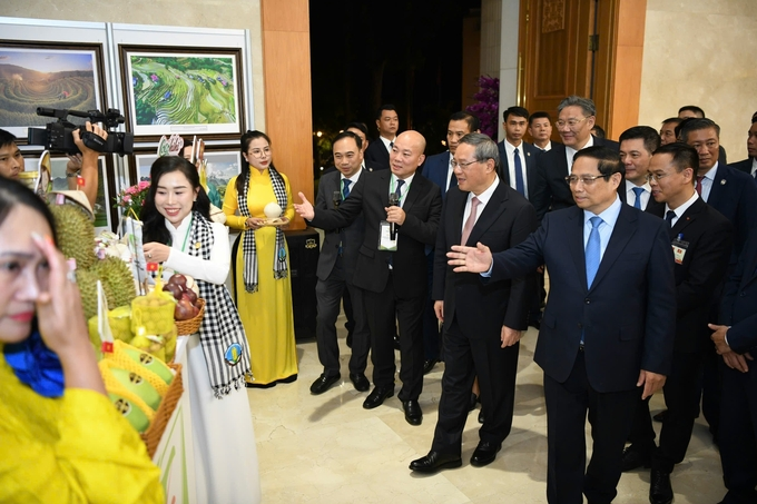 Câu chuyện cầu vồng