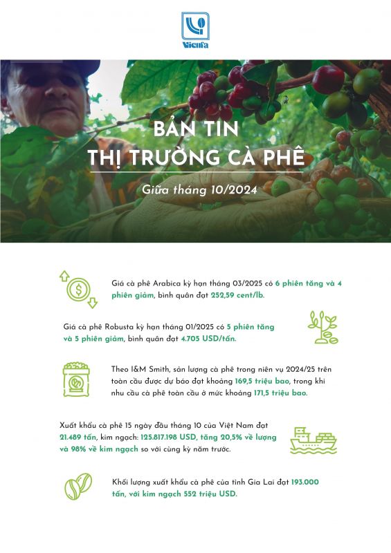 BẢN TIN THỊ TRƯỜNG CÀ PHÊ GIỮA THÁNG 10 NĂM 2024