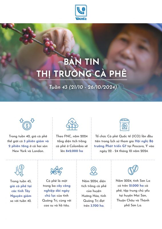 Bản tin thị trường cà phê tuần 43