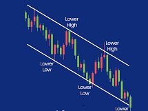 07/11/2024 Giá cà phê giảm sâu khi Trump đắc cử do giá USD tăng cực mạnh