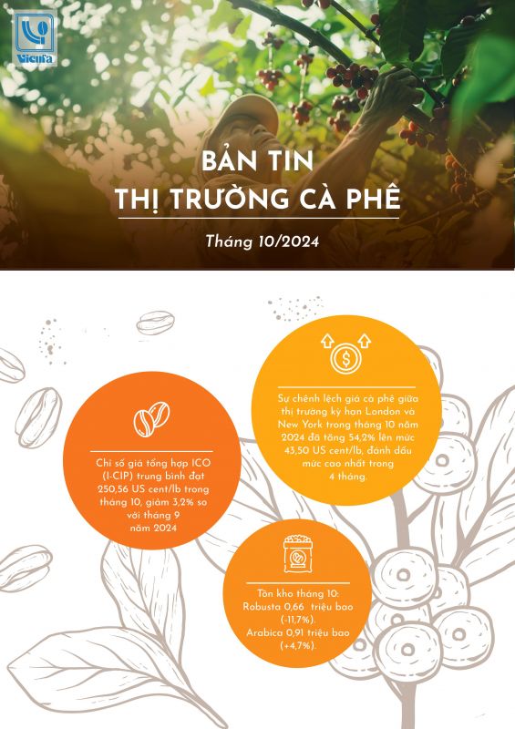 BẢN TIN THỊ TRƯỜNG CÀ PHÊ THÁNG 10 NĂM 2024
