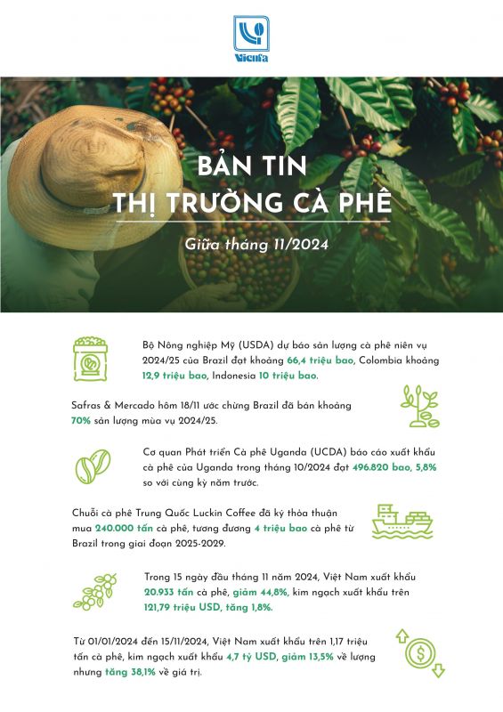 BẢN TIN THỊ TRƯỜNG CÀ PHÊ GIỮA THÁNG 11 NĂM 2024