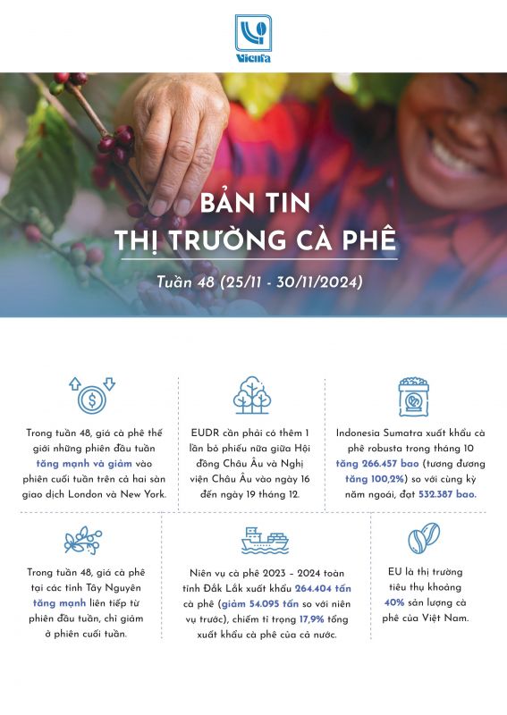 Bản tin thị trường cà phê tuần 48