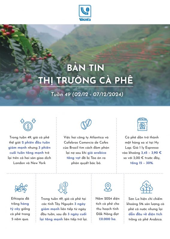Bản tin thị trường cà phê tuần 49