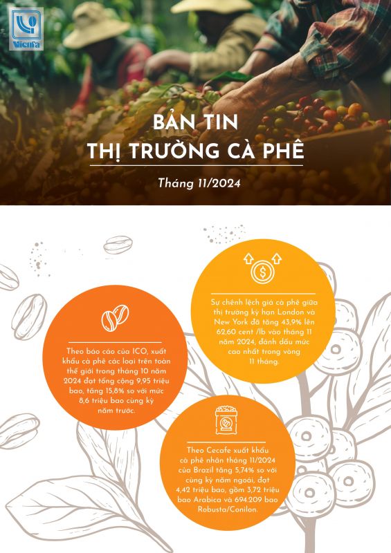 BẢN TIN THỊ TRƯỜNG CÀ PHÊ THÁNG 11 NĂM 2024
