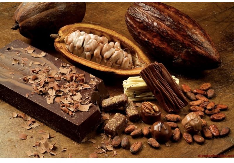 30/12/2024 Bối cảnh thị trường kỳ hạn cà phê: Lưu ý các vùng hỗ trợ 2 ngày cuối năm 2024