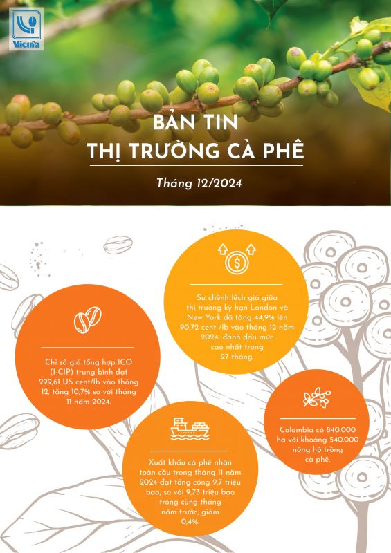 BẢN TIN THỊ TRƯỜNG CÀ PHÊ THÁNG 12 NĂM 2024