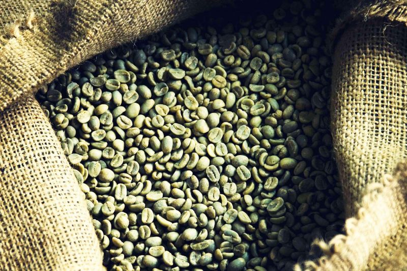 11/2/2025 Giá arabica vọt lên cực mạnh như sóng thần, còn robusta tăng đằm thắm hơn
