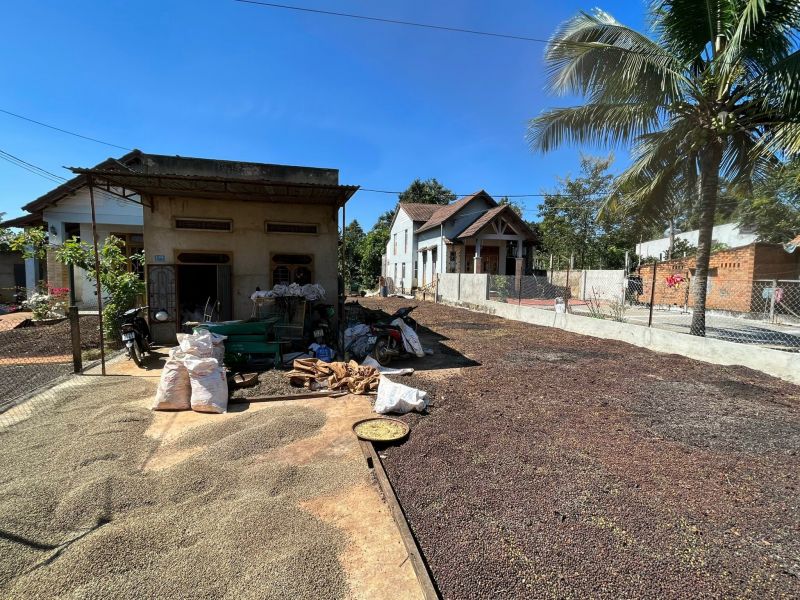 Giá cà phê trên sàn kỳ hạn chốt phiên 18/2/2025