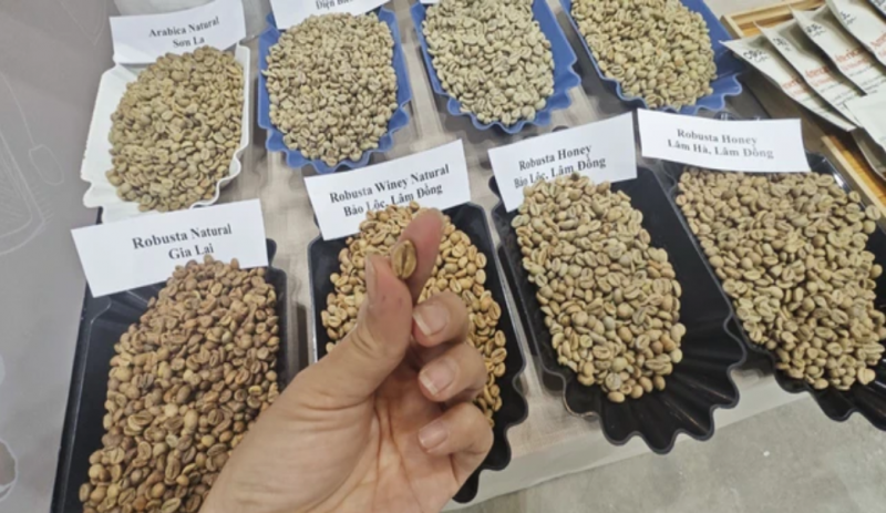 25/3/2025 Giá cà phê tăng cao lúc đầu nhưng bị đồng USD mạnh dìm xuống cuối phiên