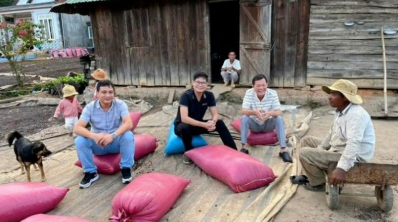 21/6/2025 Giá kỳ hạn cà phê giảm mạnh thêm, giá nội địa có thể mất mốc 100.000 VND/kg