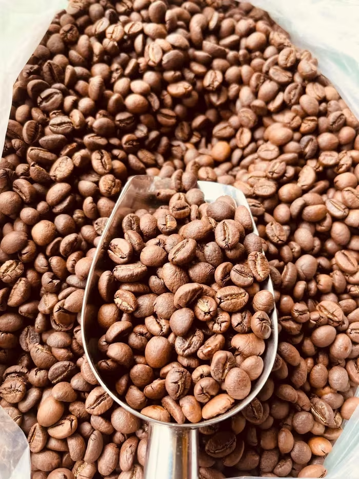 11/7/2025 Giá kỳ hạn robusta rớt mạnh nhưng arabica đòi tăng. Vì sao?