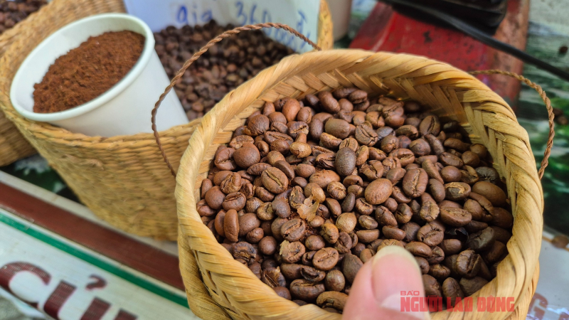 Giá cà phê hôm nay 29-8: Mạch tăng giá bị cắt, Mỹ trồng cà phê