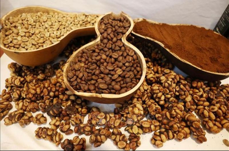 Cà phê Việt chinh phục người tiêu dùng Pháp