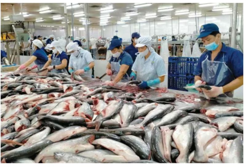 Báo cáo Thủ tướng 'hàng rào' thuế gây khó doanh nghiệp