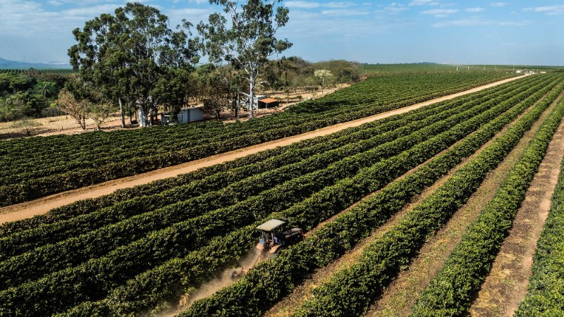 Mỹ dỡ bỏ thuế bổ sung 40% đối với nhiều mặt hàng nông sản của Brazil