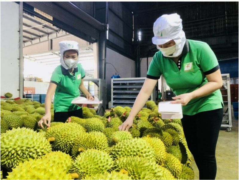 Nông nghiệp Việt bước vào kỷ nguyên truy xuất nguồn gốc