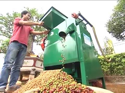 Mua máy xay tách vỏ quả tươi và máy sấy trống quay ở đâu?