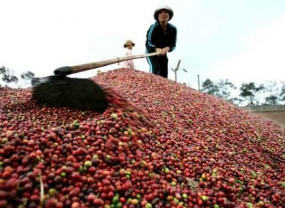 Bản tin thị trường cà phê ngày 04/1/2019