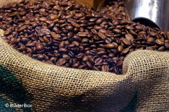 Tanzania bans export of 'unprocessed' coffee - BBC Monitoring Service