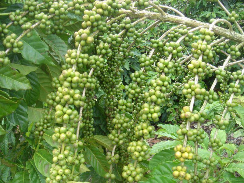 Xuất nhập khẩu năm 2019 có thể đạt mốc 500 tỷ USD