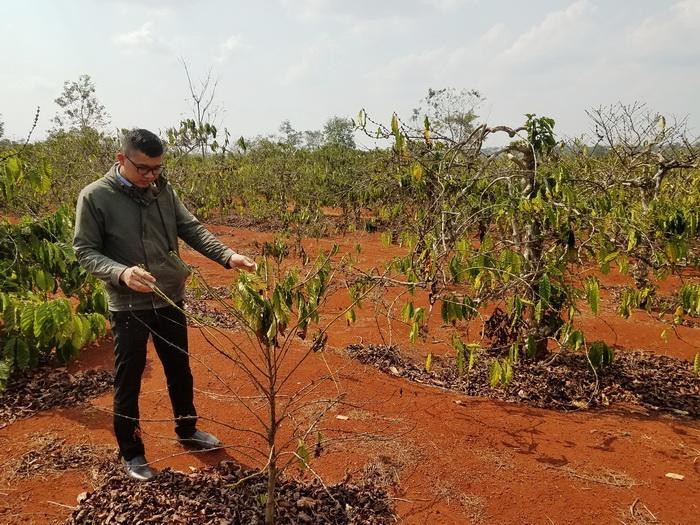 Gia Lai: Cảnh báo hiện tượng El Nino gây hạn hán mùa khô 2019