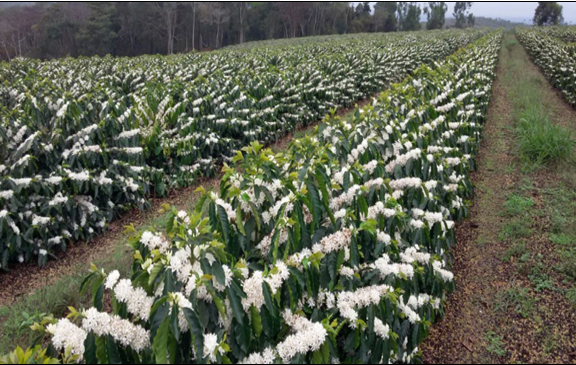 Bản tin thị trường ngày 19/02/2020