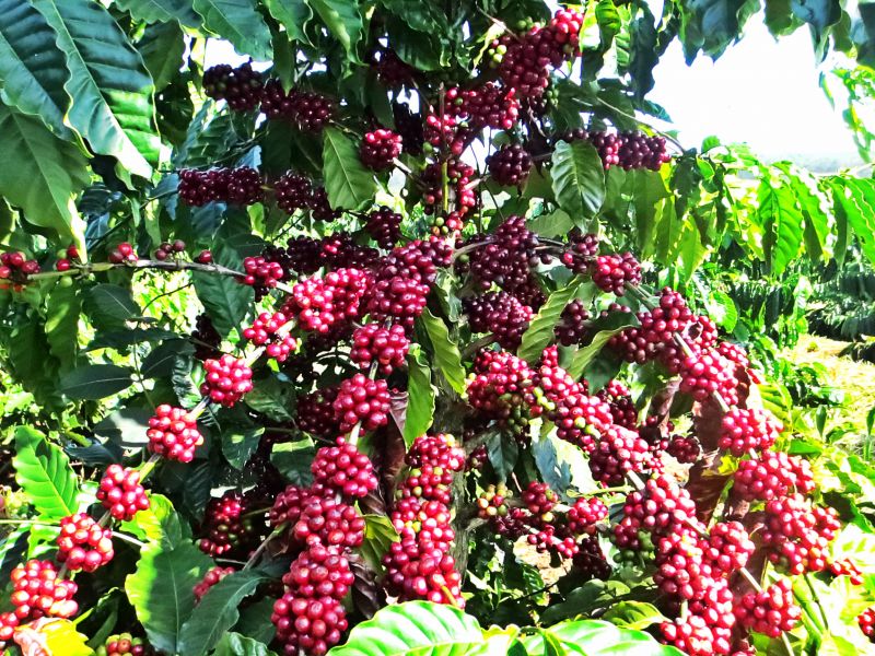 Bản tin thị trường ngày 03/3/2020