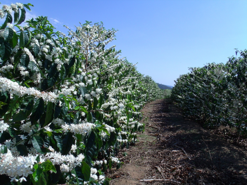 Bản tin thị trường ngày 11/3/2020